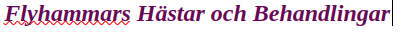 Flyhammars Hästar och Behandlingar  